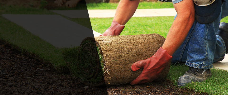 Palos Heights Landscapers